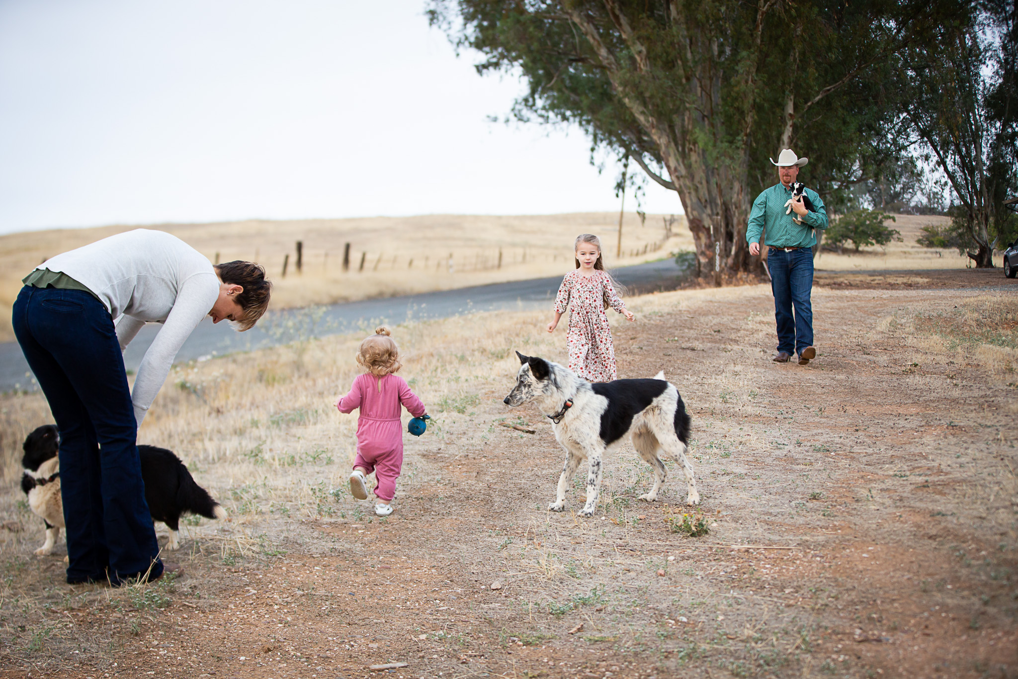 family playing with dogs