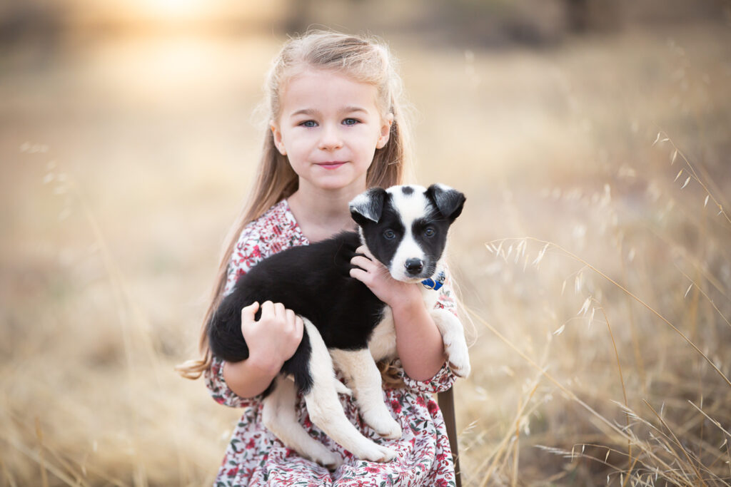 girl holding border collie puppy
