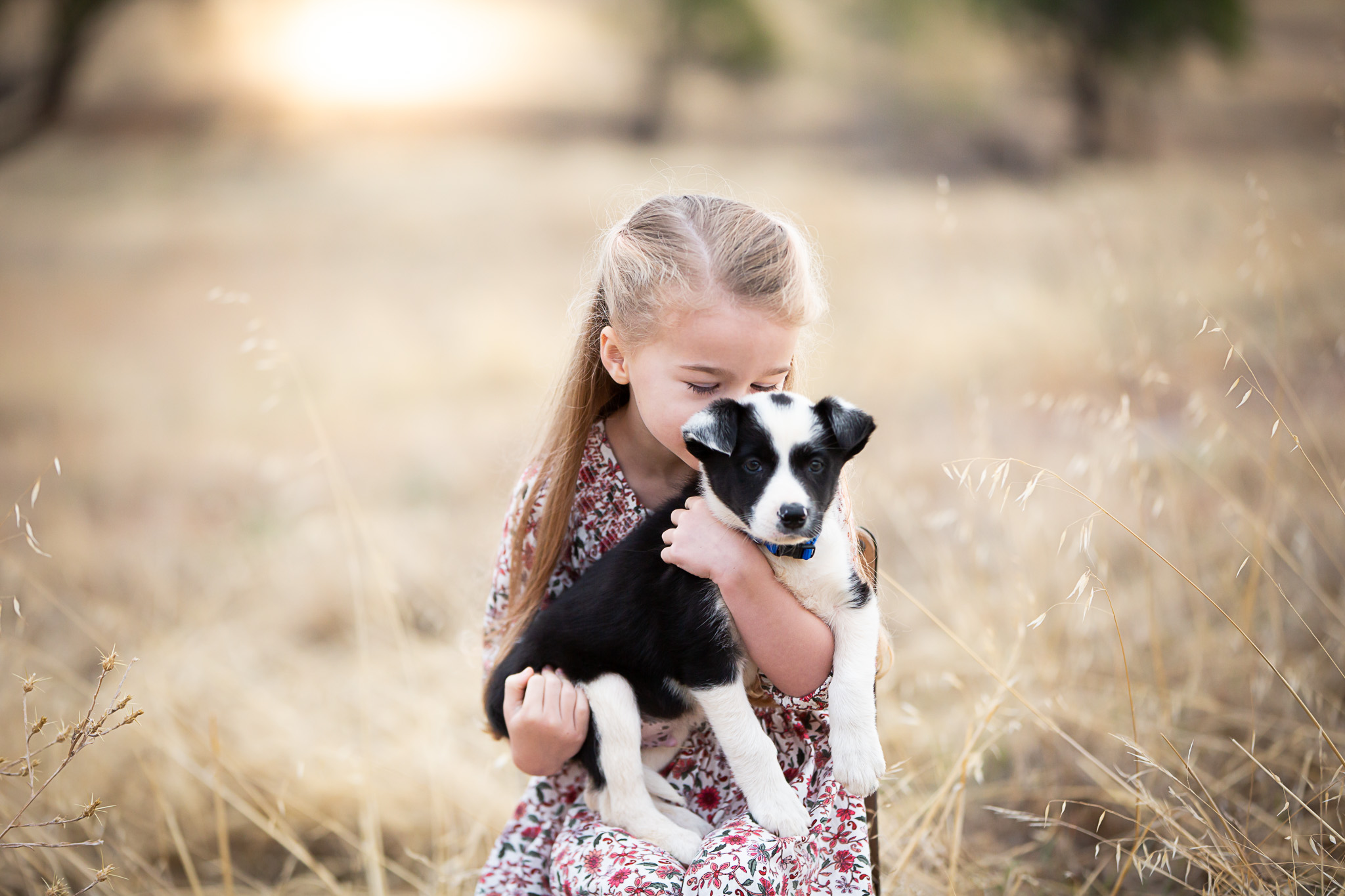 girl kissing border collie puppy