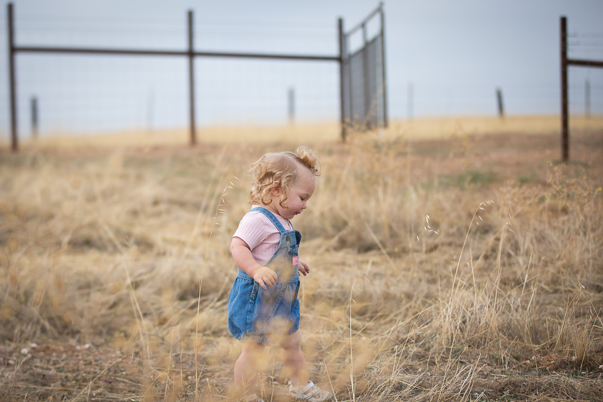 girl walking in tall grass