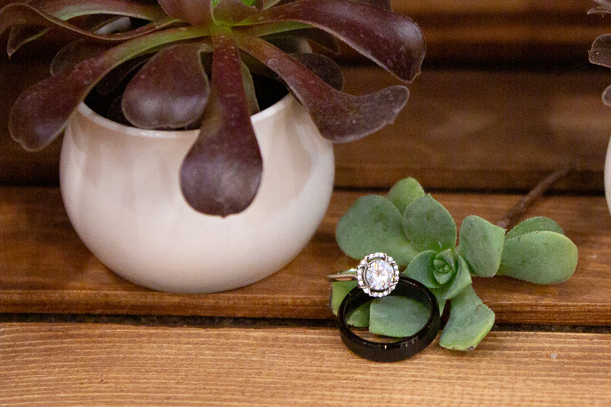 wedding rings sitting on succulents