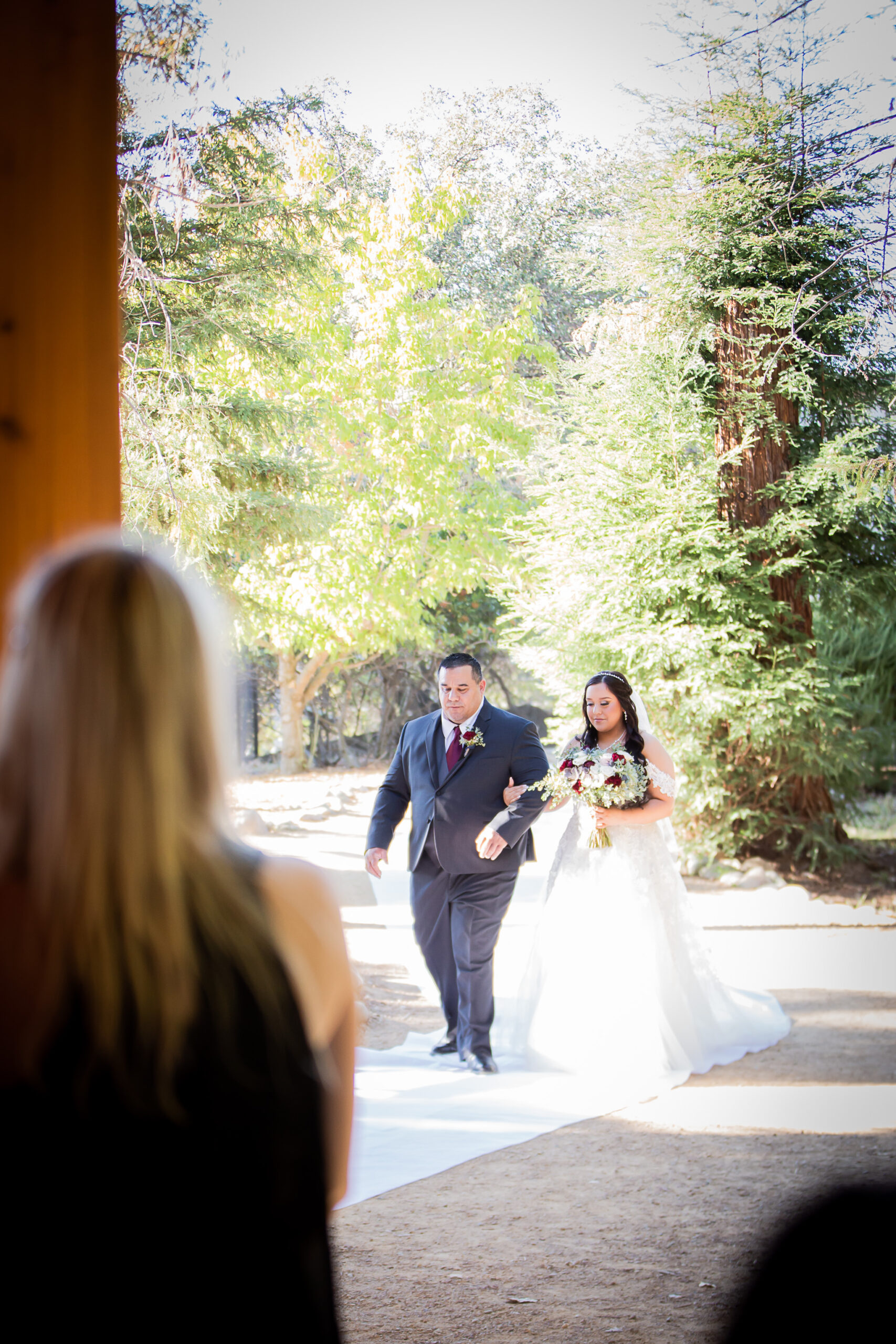 dad walking bride down the isle