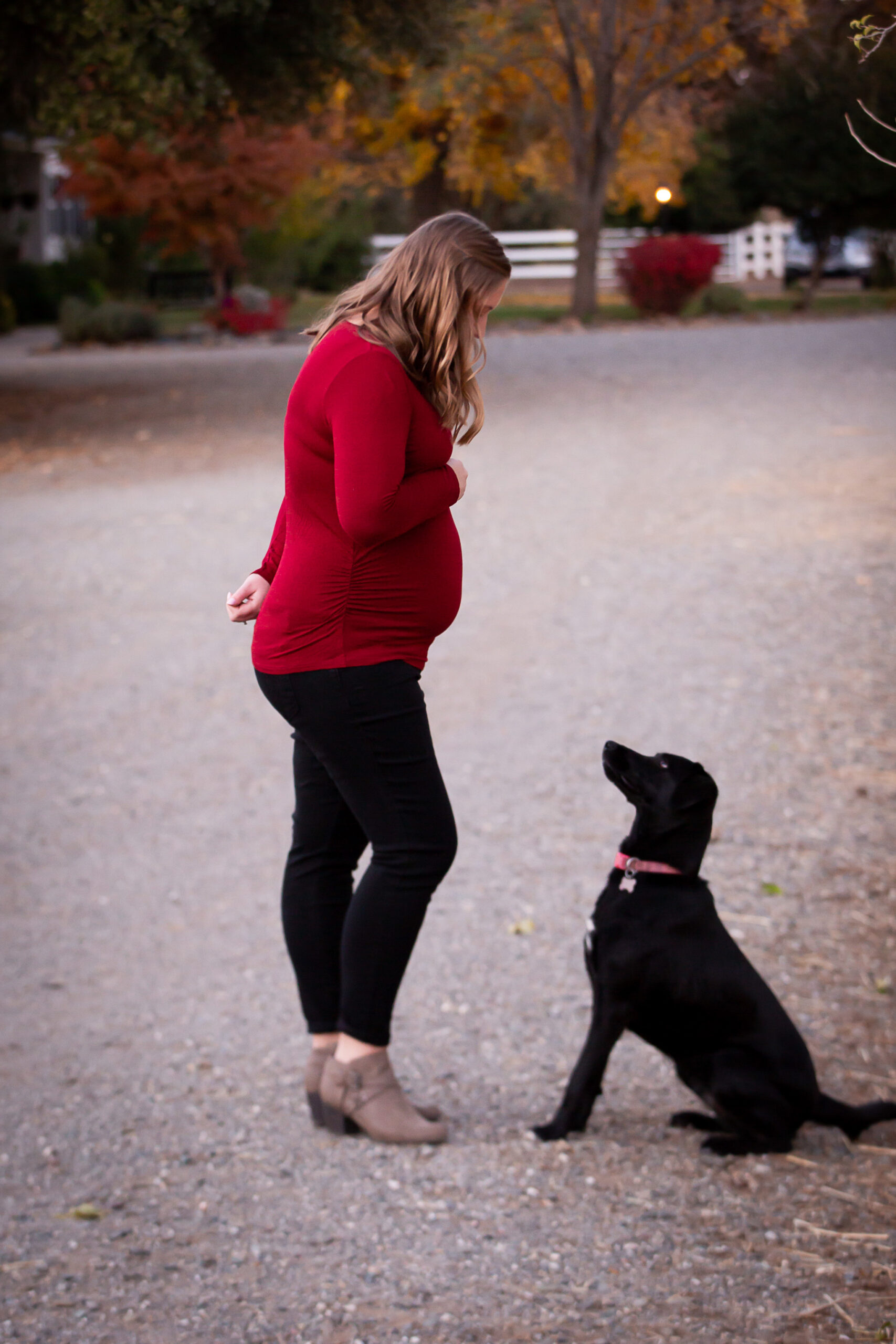 pregnant woman looking down at dog